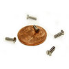 Titanium screw - Slotted Flat Head Countersunk - Din 963 - T40 (Grade 2) - Diameter M2