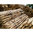 Pali legno di castagno scortecciati cm 300