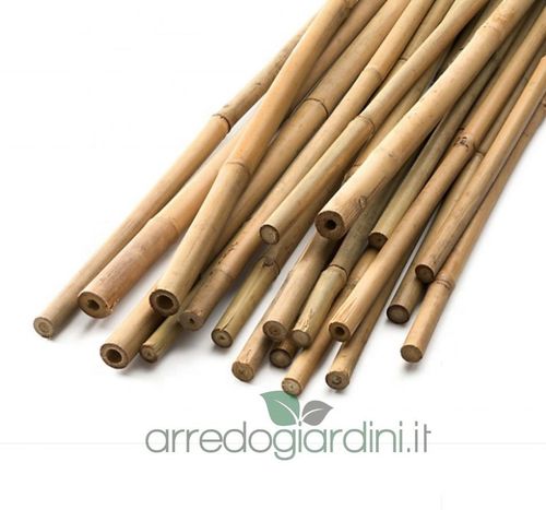 Canne Bambù Bamboo lunghezza cm 60 + Diametri