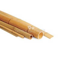 Canne bambù
