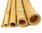 Bambù gigante MOSO canna bamboo + Misure