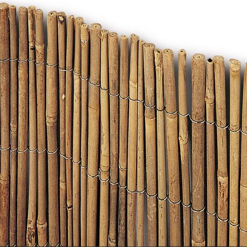 Arella bambu cm 300 x h 100 Ø mm 8/10 circa
