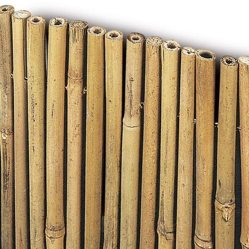 Arella bambu cm 300 x h 100 Ø mm 15 circa